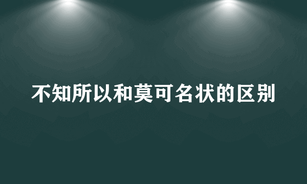 不知所以和莫可名状的区别
