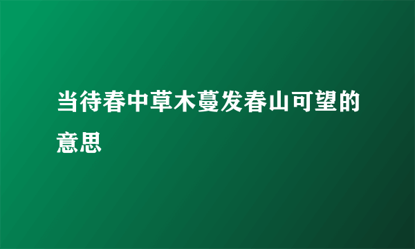 当待春中草木蔓发春山可望的意思
