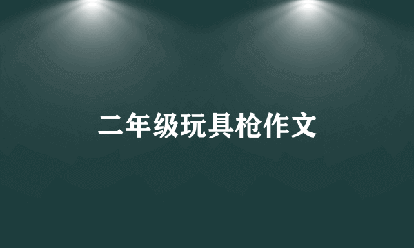 二年级玩具枪作文