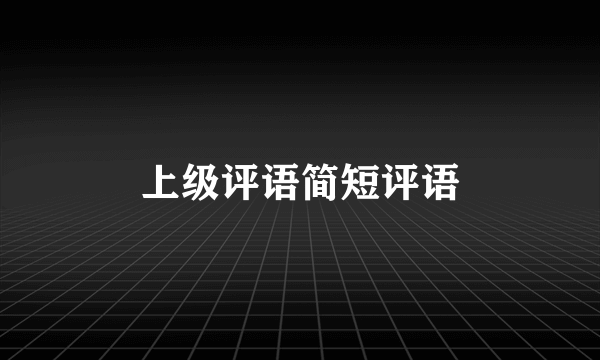 上级评语简短评语