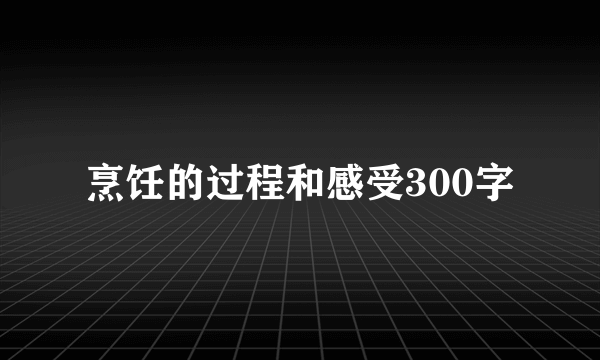 烹饪的过程和感受300字