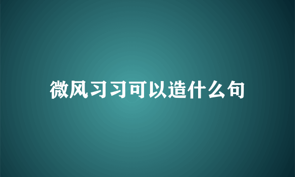 微风习习可以造什么句