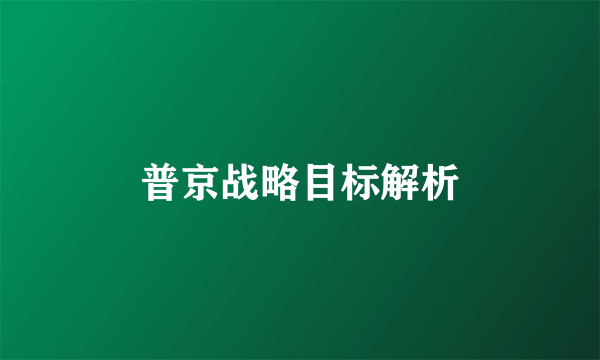 普京战略目标解析