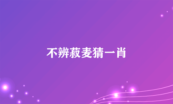 不辨菽麦猜一肖