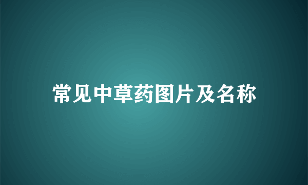 常见中草药图片及名称
