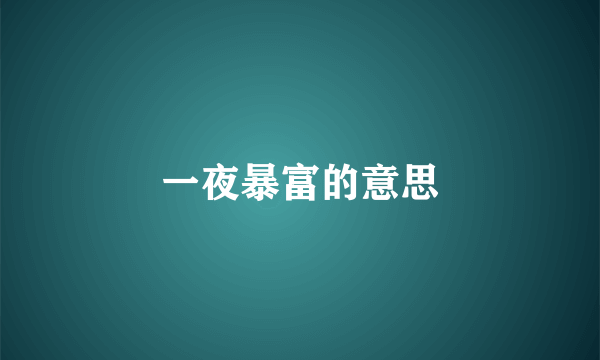 一夜暴富的意思