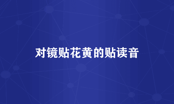 对镜贴花黄的贴读音