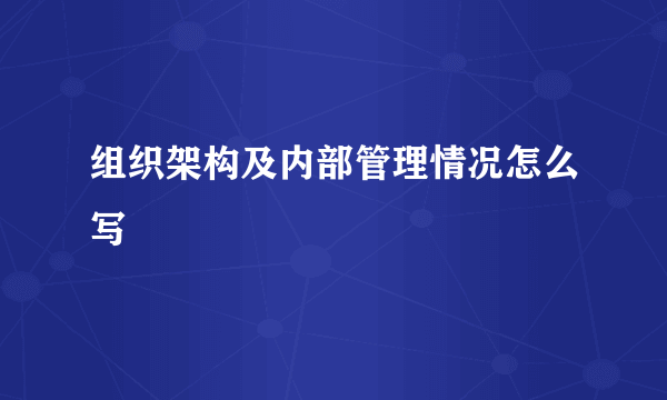 组织架构及内部管理情况怎么写
