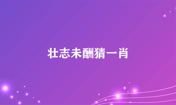 壮志未酬猜一肖