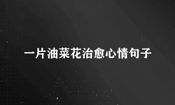 一片油菜花治愈心情句子