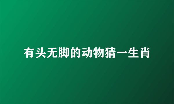 有头无脚的动物猜一生肖