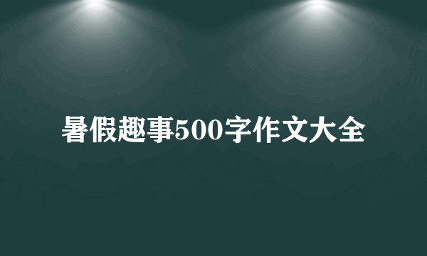 暑假趣事500字作文大全