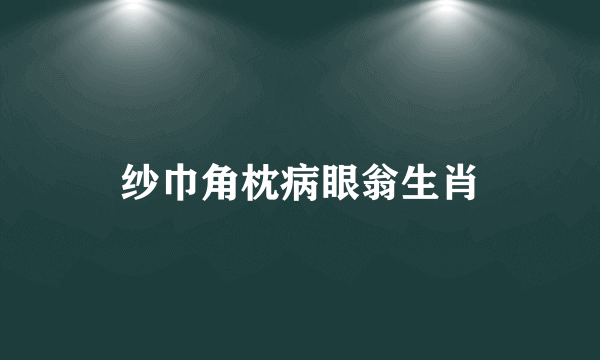 纱巾角枕病眼翁生肖
