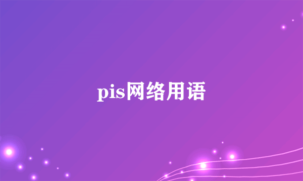 pis网络用语