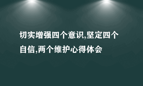 切实增强四个意识,坚定四个自信,两个维护心得体会