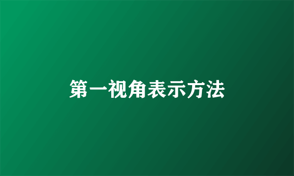 第一视角表示方法