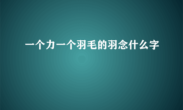 一个力一个羽毛的羽念什么字