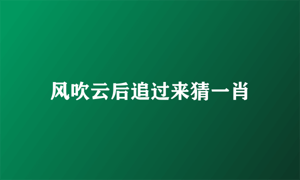 风吹云后追过来猜一肖