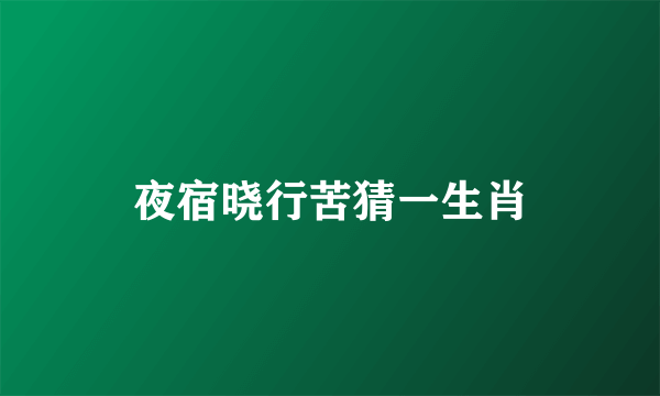 夜宿晓行苦猜一生肖