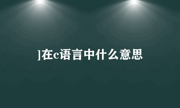 ]在c语言中什么意思