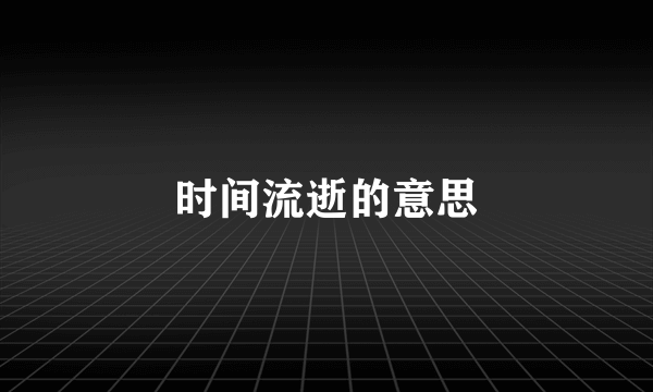 时间流逝的意思
