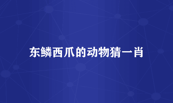 东鳞西爪的动物猜一肖