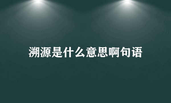 溯源是什么意思啊句语
