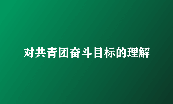 对共青团奋斗目标的理解