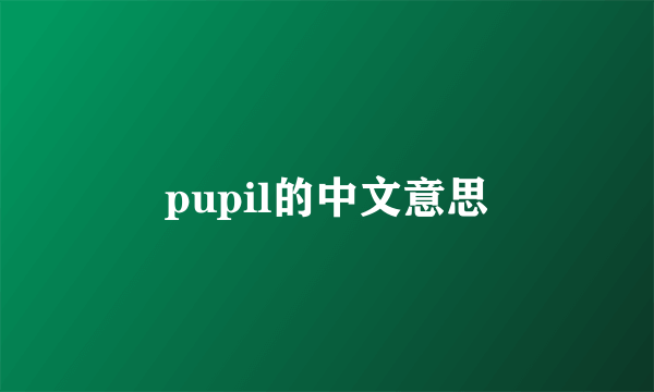 pupil的中文意思