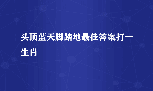 头顶蓝天脚踏地最佳答案打一生肖