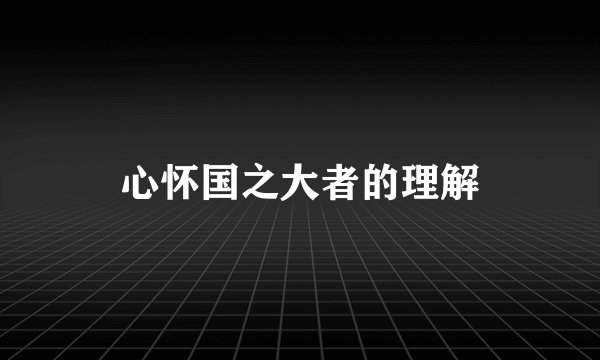 心怀国之大者的理解