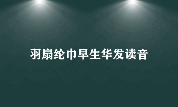 羽扇纶巾早生华发读音