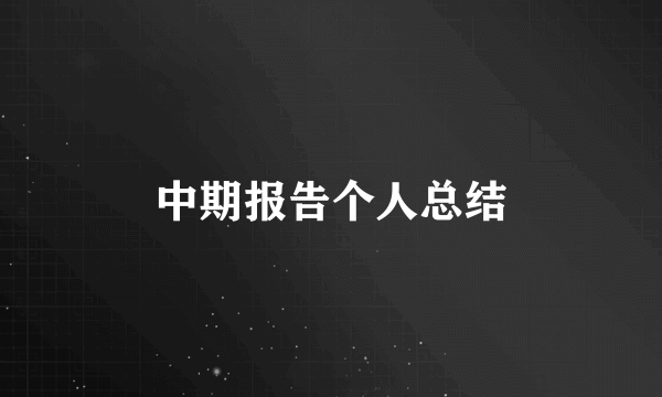 中期报告个人总结