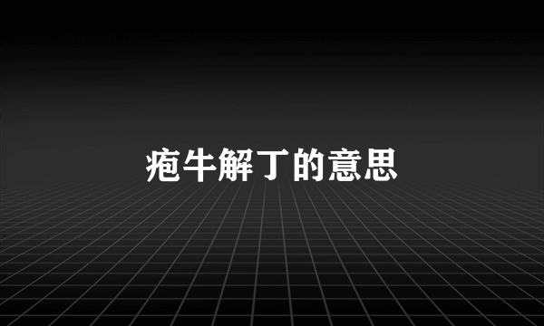 疱牛解丁的意思