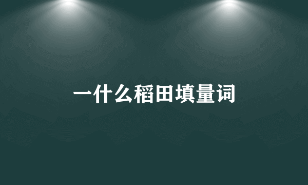一什么稻田填量词