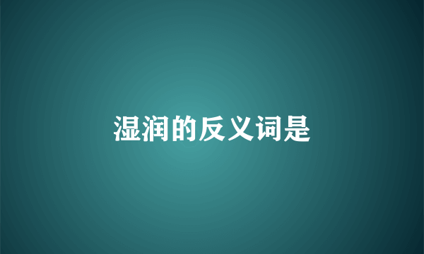 湿润的反义词是