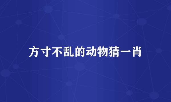 方寸不乱的动物猜一肖