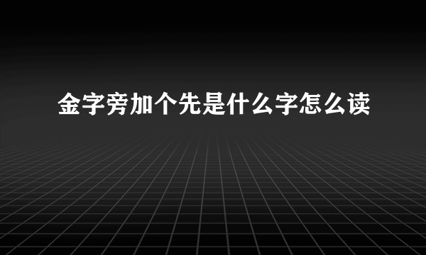 金字旁加个先是什么字怎么读