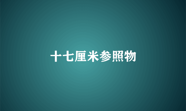十七厘米参照物
