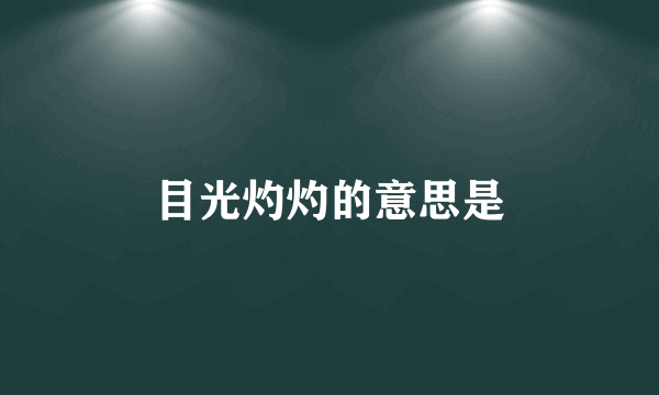 目光灼灼的意思是