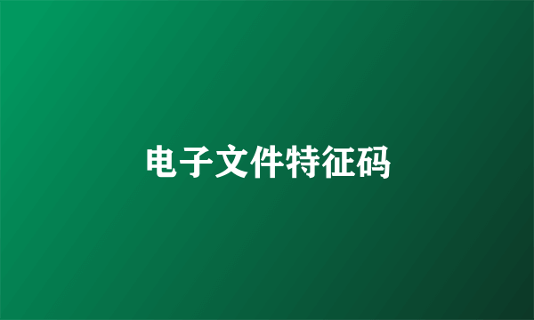 电子文件特征码