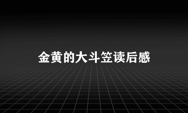 金黄的大斗笠读后感