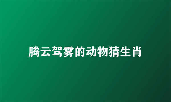 腾云驾雾的动物猜生肖