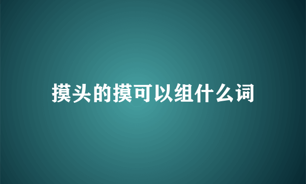 摸头的摸可以组什么词