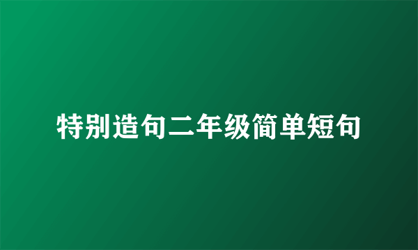 特别造句二年级简单短句