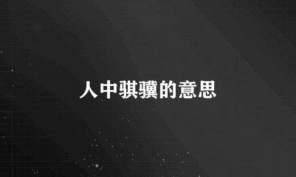 人中骐骥的意思