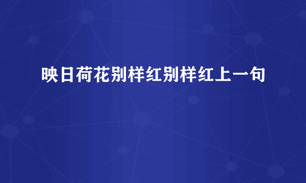 映日荷花别样红别样红上一句