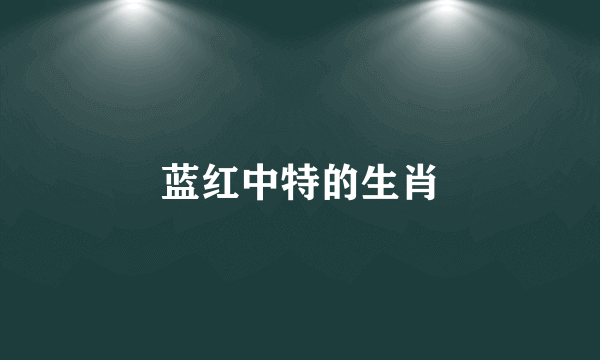 蓝红中特的生肖