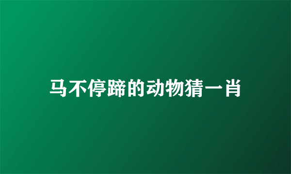 马不停蹄的动物猜一肖
