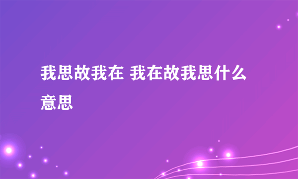 我思故我在 我在故我思什么意思